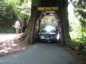 A controversial, but fun tourist spot. 