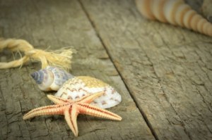 Image courtesy of Grant Cochrane, published on 10 February 2013 Stock Photo - image ID: 100139008, from http://www.freedigitalphotos.net