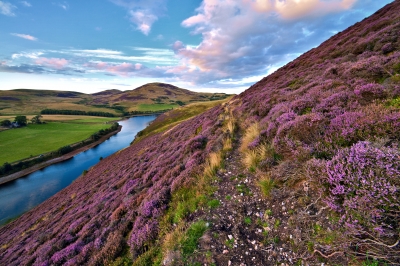 Image courtesy of Serge Bertasias Photography. Beautiful Landscape of Scottish Nature, from http://www.freedigitalphotos.net.