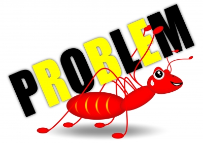 Image courtesy of Red Ant With Problem by photoexplorer, from http://www.freedigitalphotos.net/